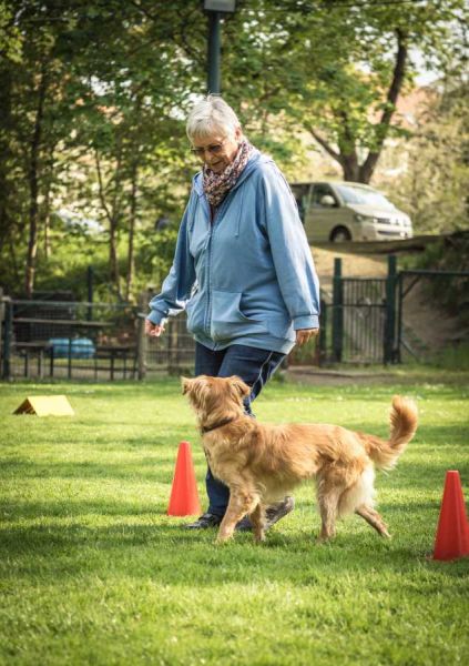 Rally Obedience